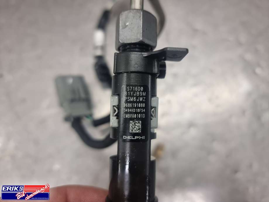 Dyse innsprøyting diesel til Ford Mondeo 2011-2014 (Type IV, Fase 2)  (DELPHI|9686191080|)