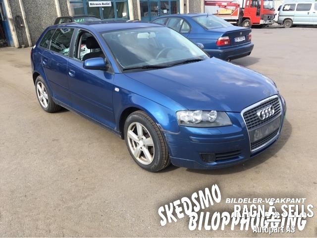 Audi A3 2003-2008 (Type II, Fase 1) , Motorkode: BSE, Girkassekode: FVH