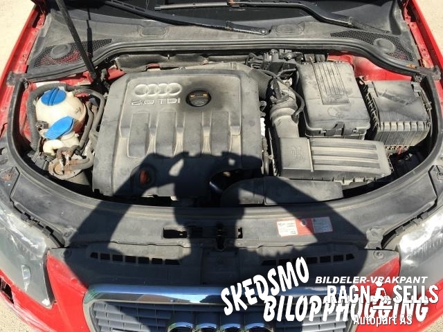 Audi A3 2003-2008 (Type II, Fase 1) , Motorkode: BKD, Girkassekode: JLR