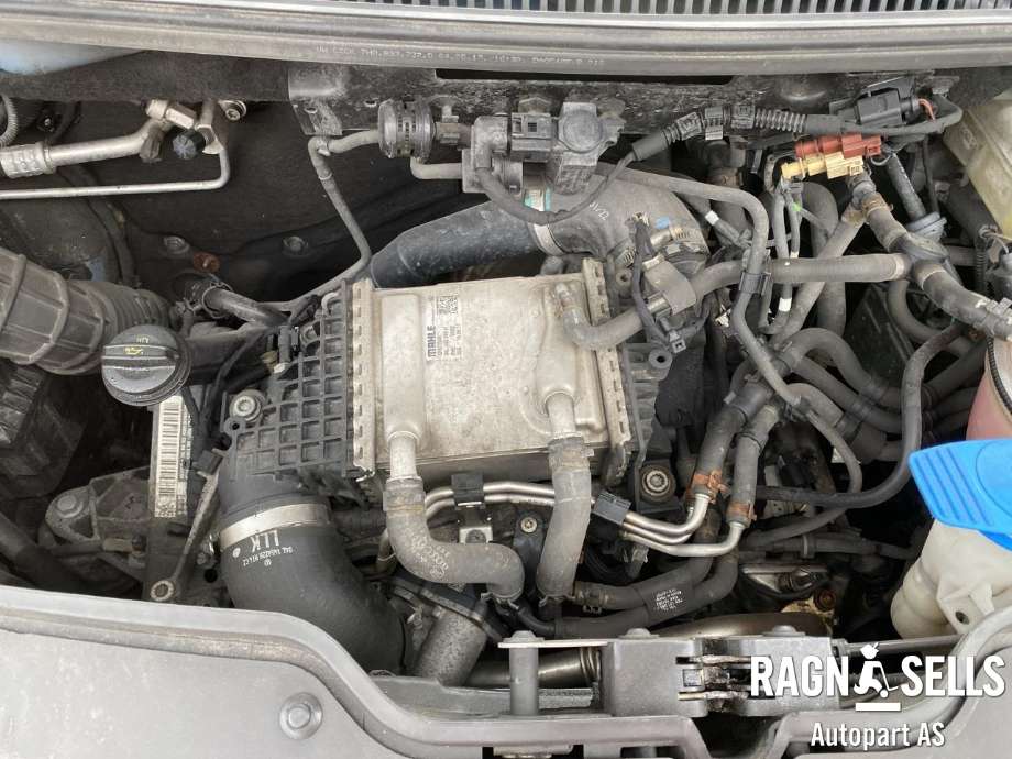 VW Transporter / Caravelle 2015-2019 (T6) (T6), Motorkode: CXG, Girkassekode: QWM