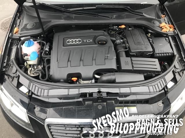 Audi A3 2009-2012 (Type II, Fase 2) , Motorkode: CAYC, Girkassekode: LUB