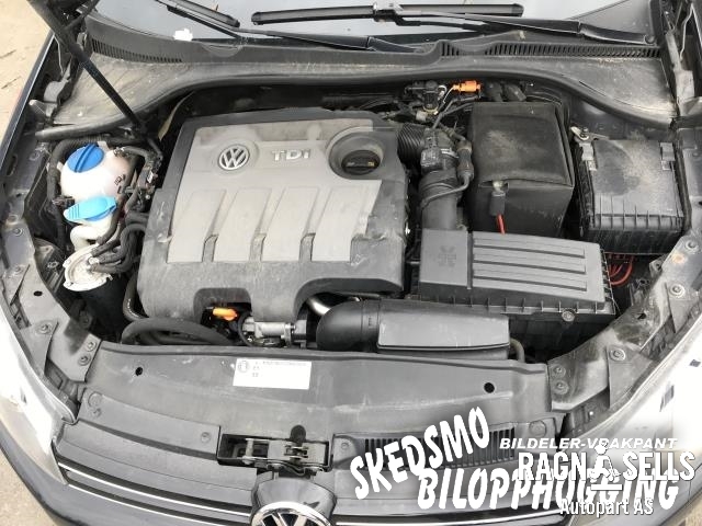 VW Golf V, STV 2007-2010 (JETTA) (JETTA), Motorkode: CAY, Girkassekode: MGN