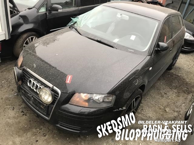 Audi A3 2003-2008 (Type II, Fase 1) , Motorkode: BSE, Girkassekode: FVH