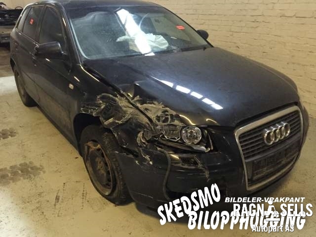 Audi A3 2003-2008 (Type II, Fase 1) , Motorkode: BGU, Girkassekode: 