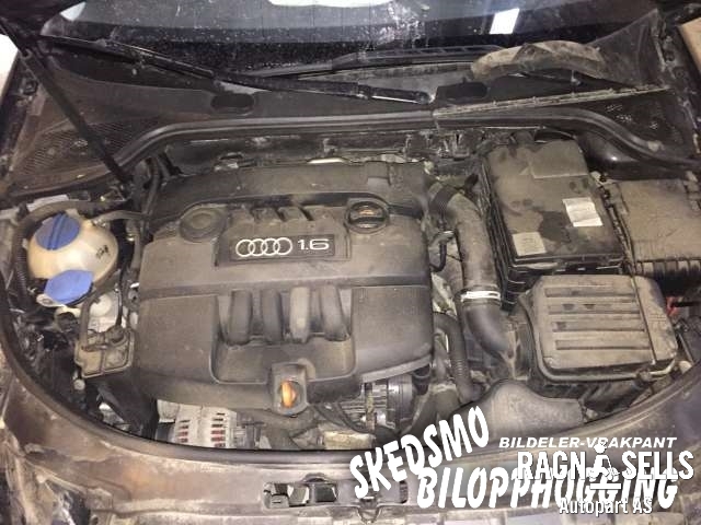 Audi A3 2003-2008 (Type II, Fase 1) , Motorkode: BGU, Girkassekode: 