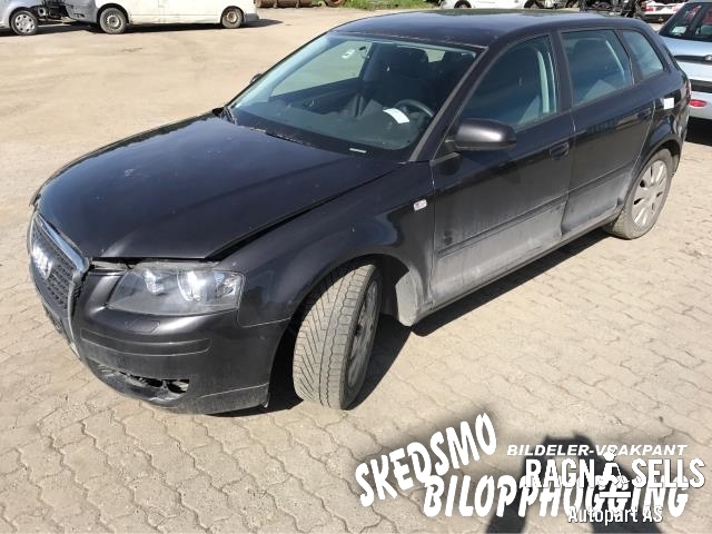 Audi A3 2003-2008 (Type II, Fase 1) , Motorkode: BLS, Girkassekode: KBL