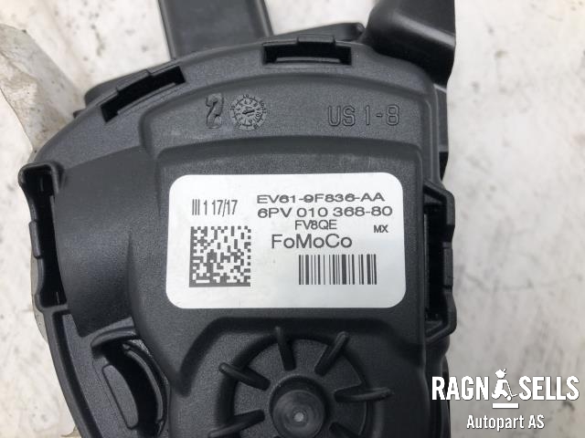 Pedal gass til Ford Focus 2014-2018 (Type III, Fase 2) (EV61-9F836-AA|)