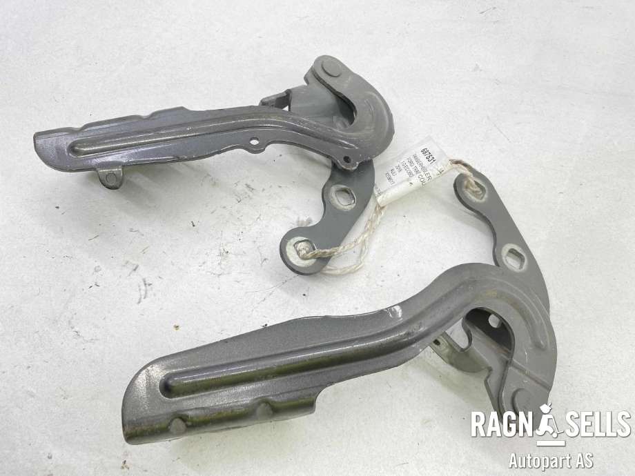 Panserhengsler til Ford Transit Courier 2014-2018 (Type I, Fase 1) (1842608|1842609|)
