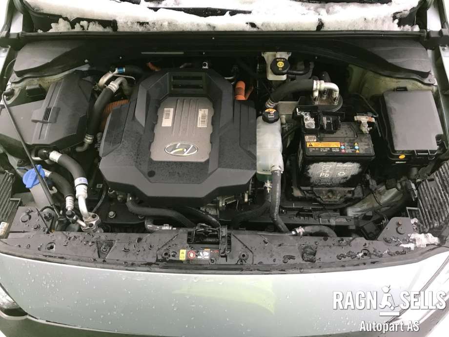 Hyundai Ioniq Electric 2016-2019 (Fase 1) , Motorkode: EM09, Girkassekode: 44500 18AA0