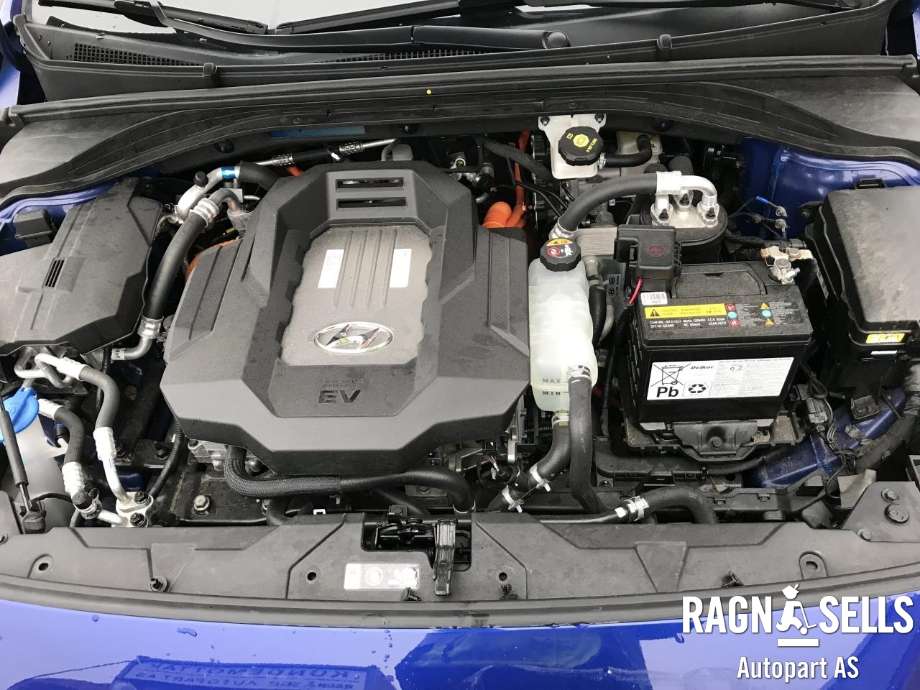 Hyundai Ioniq Electric 2019-->> (Fase 2) , Motorkode: EM10, Girkassekode: 4450018AA1