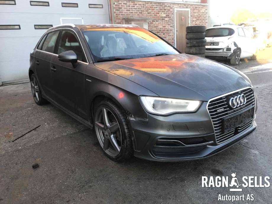 Audi A3 2016-2020 (Type III, Fase 2) , Motorkode: CUK, Girkassekode: RJW