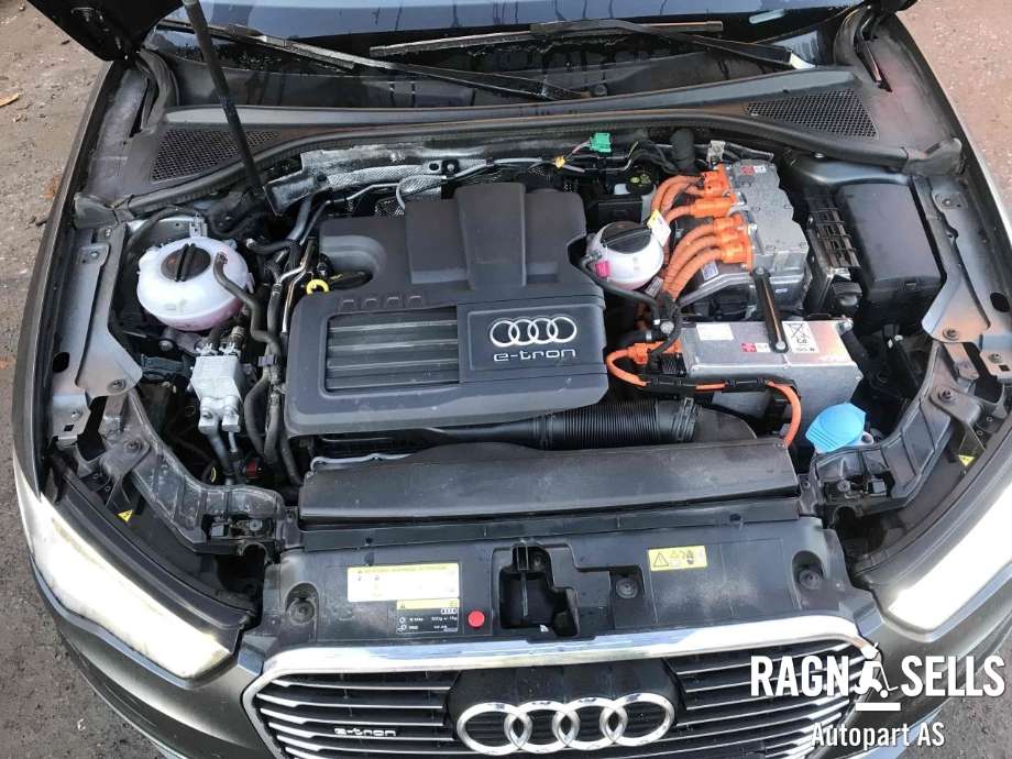 Audi A3 2016-2020 (Type III, Fase 2) , Motorkode: CUK, Girkassekode: RJW
