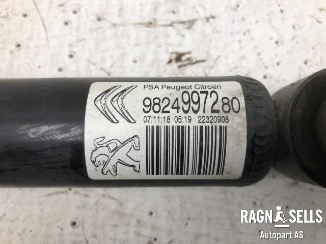 Støtdemper bak til Citroën C3 2016-->> (Type III) (98 249 972 80|)