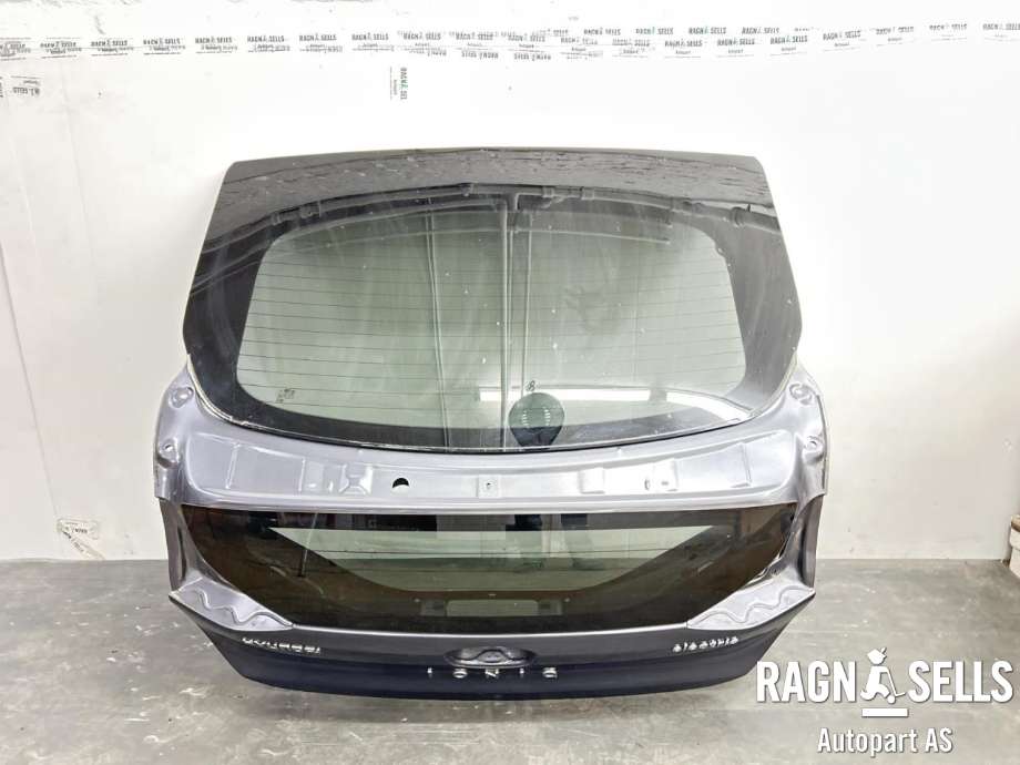 Bakluke combi til Hyundai Ioniq Electric 2019-->> (Fase 2) (73700G 2000|)