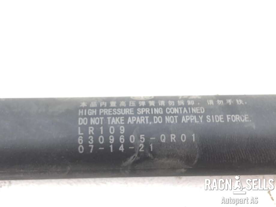 Baklukeåpner motor til Hongqi E-HS9 2022-->>  (6309605QR01|)