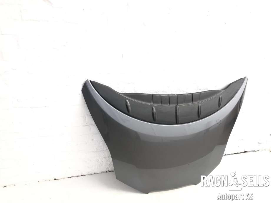 Panser til Nissan Leaf 2011-2017 (Type I) (F51003NLMA|)