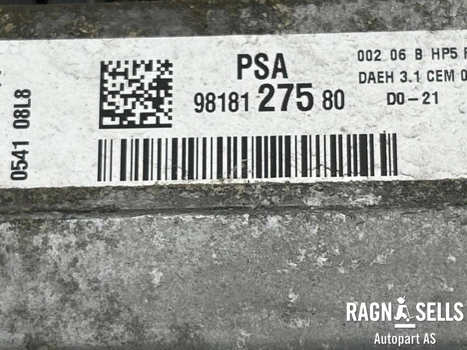 Servo pumpe elektrisk til Citroën Jumpy 2016-->> (Type III) (16 174 105 80|)