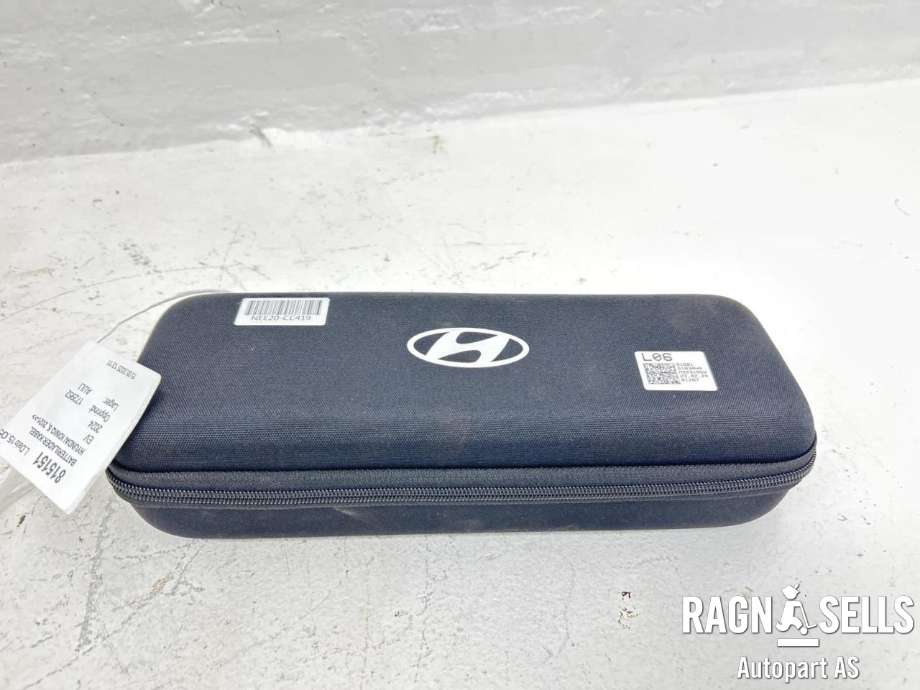 Batterilader kabel til Hyundai Ioniq 5 2021-->> (916B1GI030|)