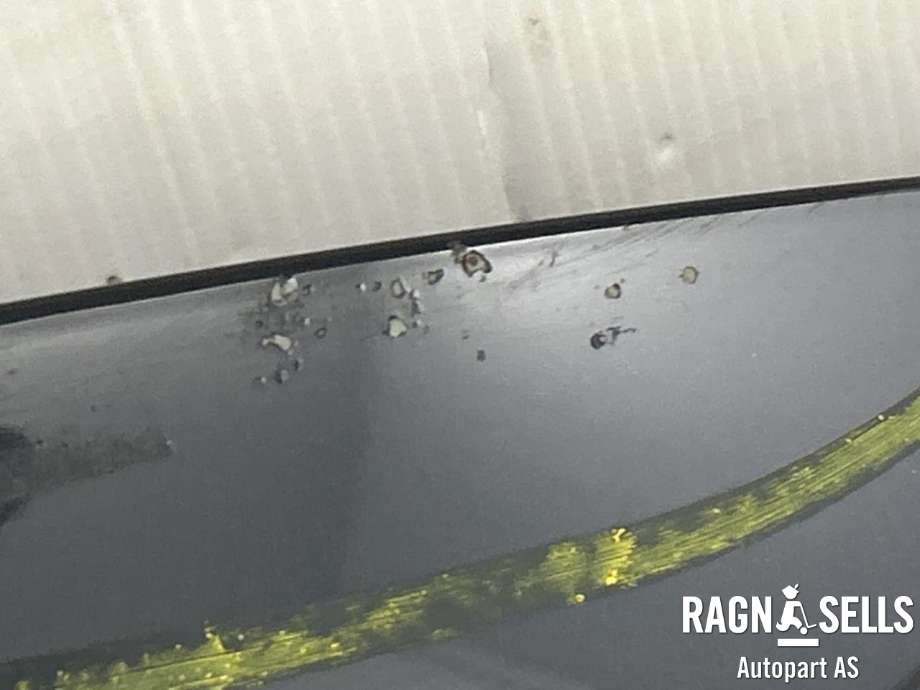 Panser til Toyota RAV4 2016-2019 (Type IV, Fase 2)  (533010R070|5330142110|)