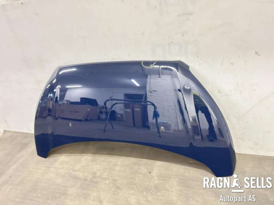 Panser til Ford Transit Custom 2013-2023 (Type I) (2171339|JK21 A16612 AA|)