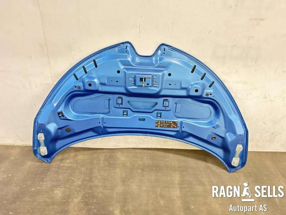 Panser til Renault Zoe 2013-2019 (Fase 1)  (651004516R|)