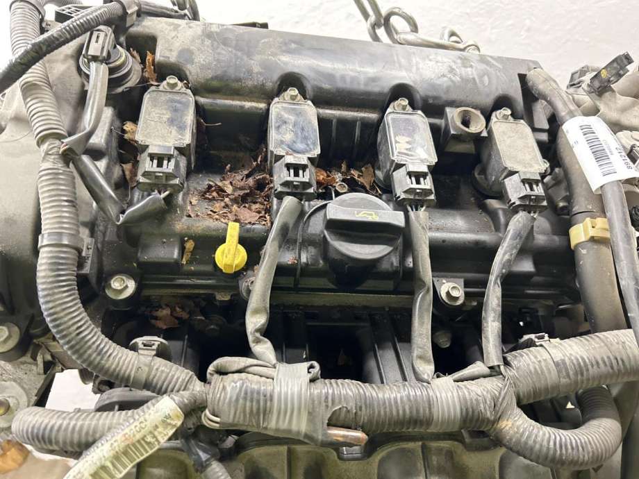 Motor bensin til Mazda 3 2013-2016 (Type III, Fase 1) (PEY702300E|)