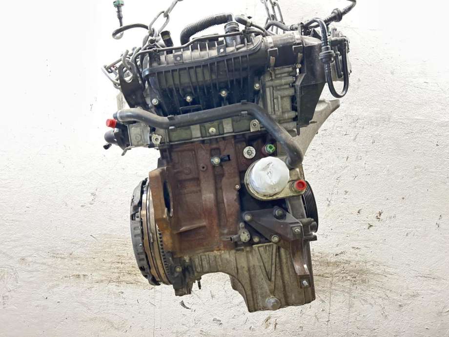 Motor bensin til Ford Focus, 2014-2018 (Type III, Fase 2)  (1897601)
