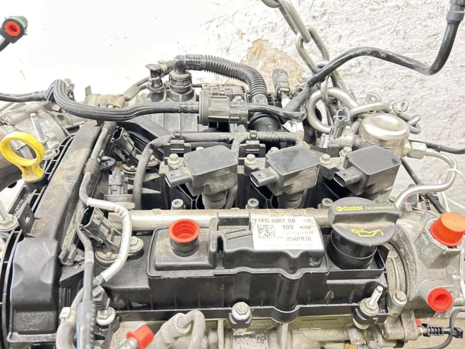 Motor bensin til Ford Focus 2014-2018 (Type III, Fase 2)  (1897601|2421452|)