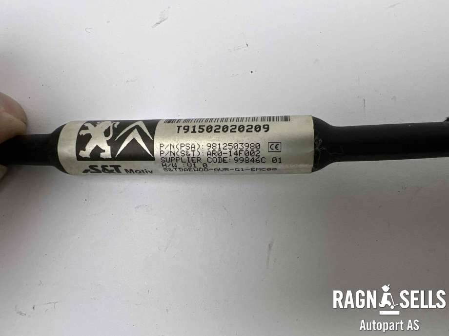 Parkeringskamera bak til Peugeot 308 2013-2021 (Type II)  (9812503980|)