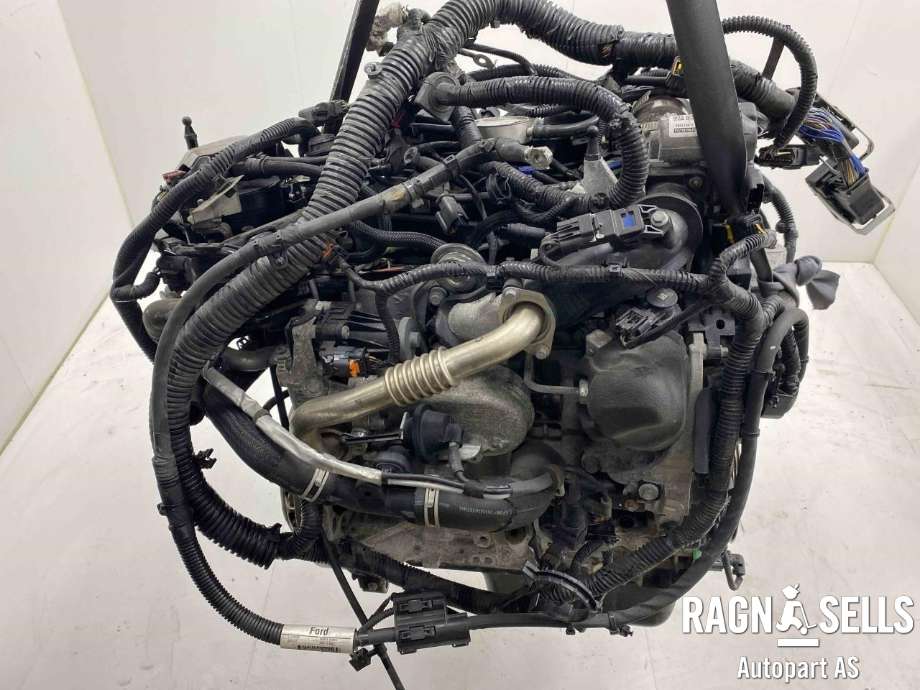 Motor diesel til Ford C-Max 2015-2019 (Type II, Fase 2) (FM5Q-6006-EB|1917610|XWDB)