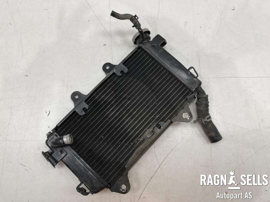 MC, Radiator til MC KTM 125 Duke 2017-2022  (N/A|)