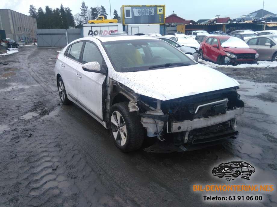 Hyundai Ioniq Electric, 2016-2019 (Fase 1)  delebil , Motorkode: EM09