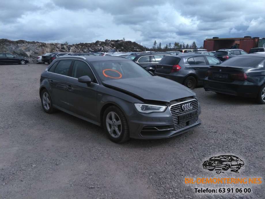 Audi A3 2016-2020 (Type III, Fase 2) , Motorkode: CUK, Girkassekode: RJW