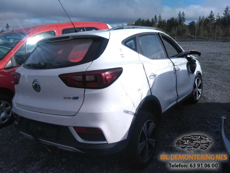 MG ZS EV, 2019-2021 (Type I, Fase 1)  delebil , Motorkode: TZ204XS1481