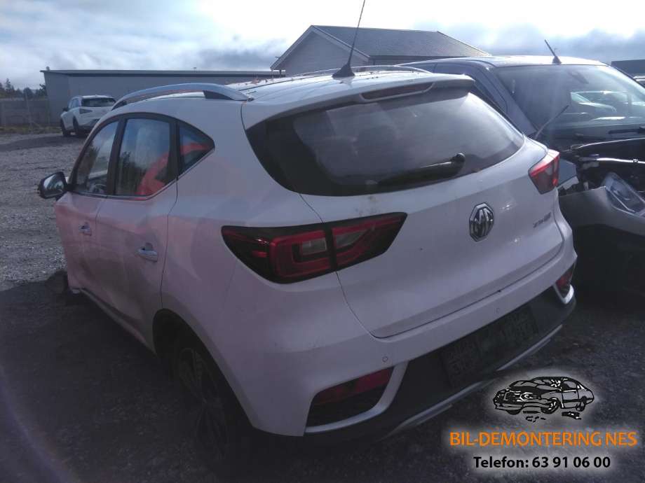 MG ZS EV 2019-2021 (Type I, Fase 1) , Motorkode: TZ204XS1481, Girkassekode: 