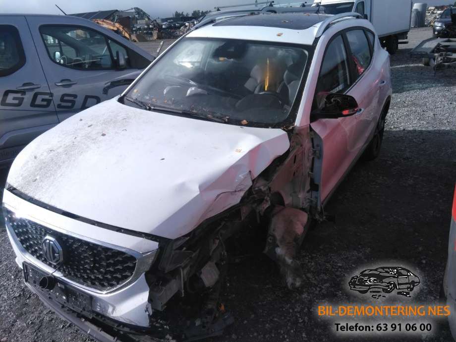 MG ZS EV 2019-2021 (Type I, Fase 1) , Motorkode: TZ204XS1481, Girkassekode: 