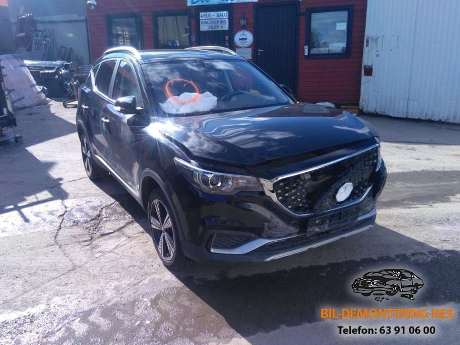 MG ZS EV, 2019-2021 (Type I, Fase 1)  delebil , Motorkode: TZ204XS1481