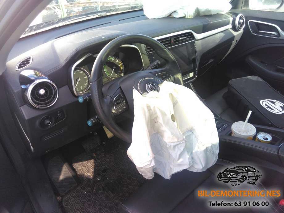 MG ZS EV 2019-2021 (Type I, Fase 1) , Motorkode: TZ204XS1481, Girkassekode: 