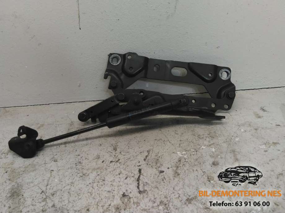 Panserhengsler til BMW 7-Serie, 2009-2015 (F01/F02/F03/F04) (F01/F02/F03/F04) (7 184 190-09)