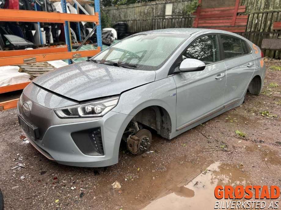 Hyundai Ioniq Electric, 2016-2019 (Fase 1)  delebil , Motorkode: EM09