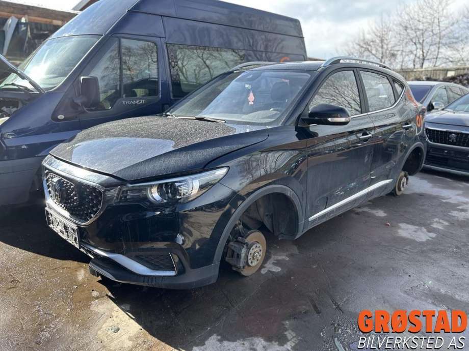 MG ZS EV, 2019-2021 (Type I, Fase 1)  delebil , Motorkode: TZ204XS1481