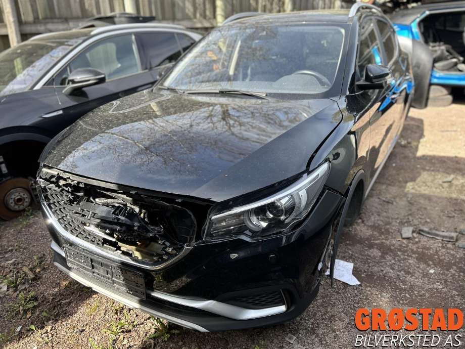 MG ZS EV, 2019-2021 (Type I, Fase 1)  delebil , Motorkode: TZ204XS1481