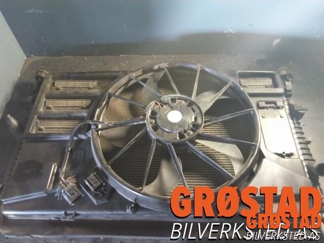 Radiator (manuell gir) til Ford Transit Custom 2013-2023 (Type I)  (1789645|1898101|)