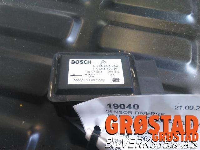 Sensor diverse til Peugeot 307 2005-2008 (Fase 2)  (0 265 005 253|)