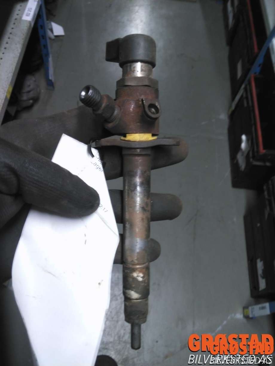 Dyse innsprøyting diesel til Land Rover Discovery 2005-2009 (Type III) (LR006496|7H2Q9K546CB|)