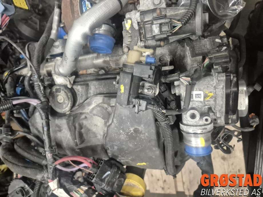 Motor diesel til Renault Scenic 2009-2016 (Type III)
