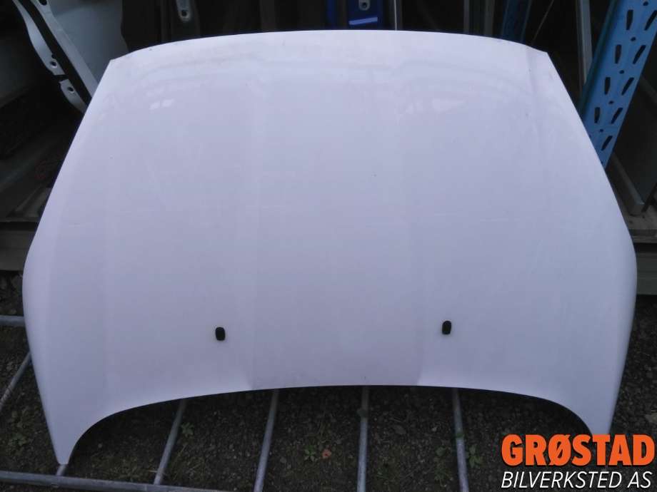 Panser til Ford Fiesta 2013-2017 (Type VI, Fase 2) (2002312|)