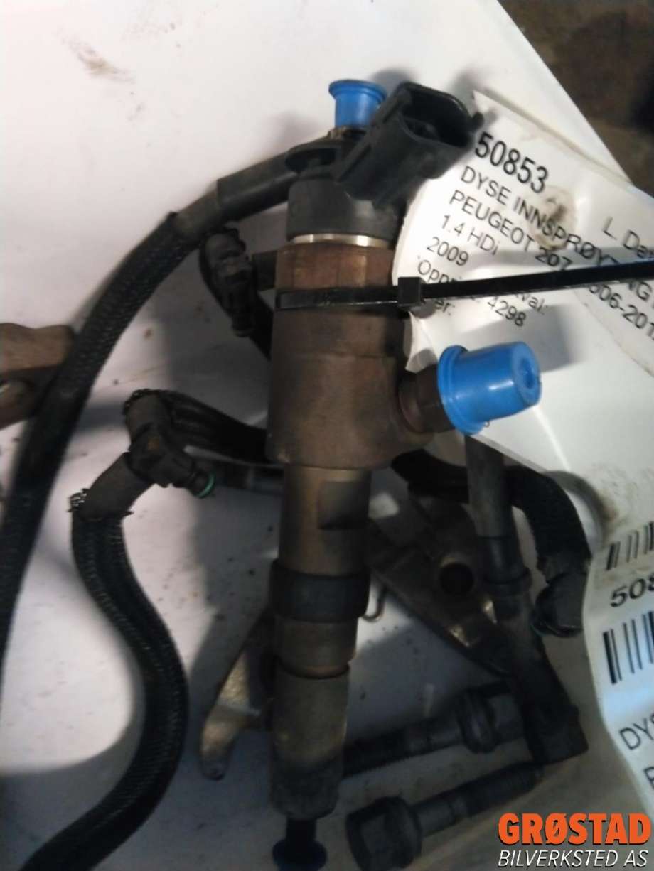 Dyse innsprøyting diesel til Peugeot 207, 2006-2012 (1980 K2)