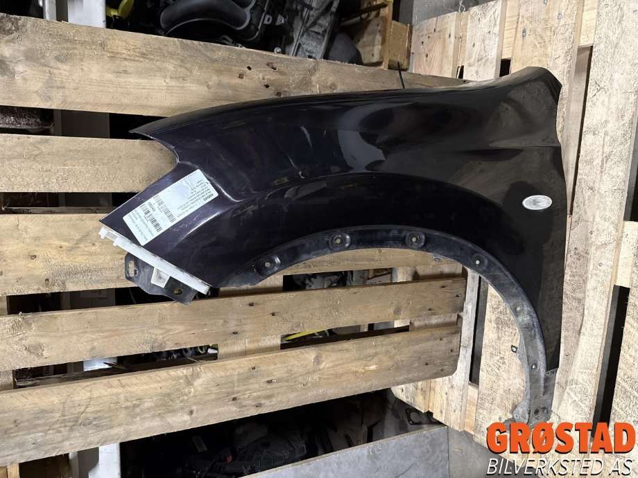 Skjerm venstre foran til Nissan Qashqai, 2010-2014 (Type I, Fase 2) (F3101BR0MA)