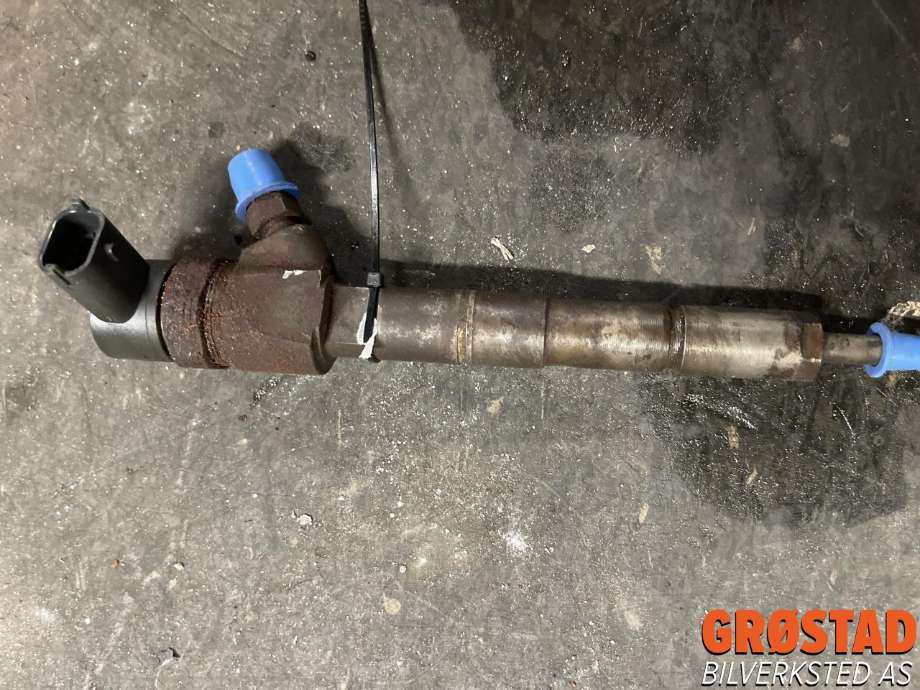 Dyse innsprøyting diesel til Opel Insignia A, 2009-2014  (55566050)